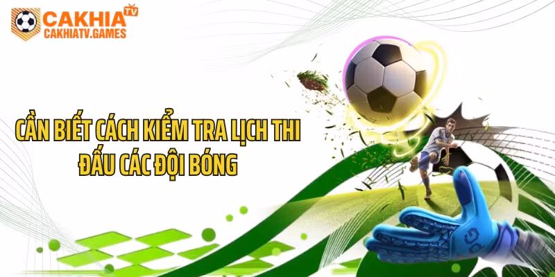 Cần biết cách kiểm tra lịch thi đấu các đội bóng