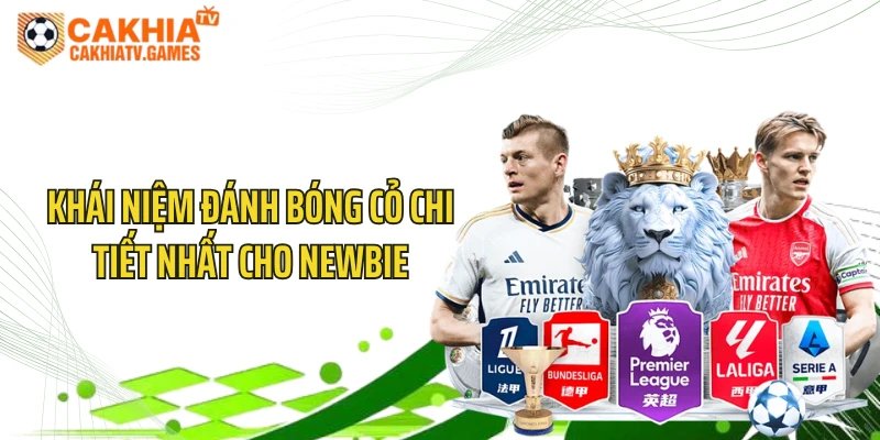Khái niệm đánh bóng cỏ chi tiết nhất cho newbie