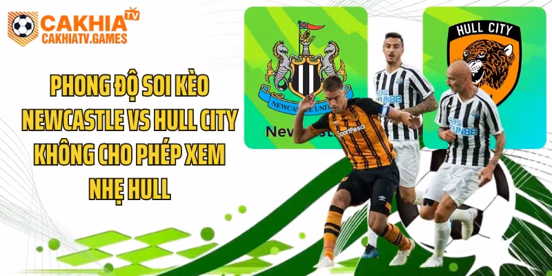 Phong độ soi kèo Newcastle vs Hull City không cho phép xem nhẹ Hull